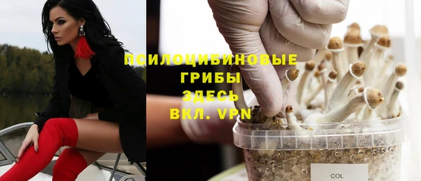 тгк Абдулино