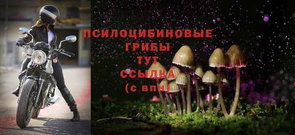 героин Абаза