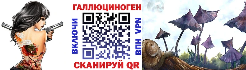 Псилоцибиновые грибы мицелий  закладка  Терек 