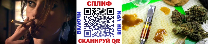 Канабис план Терек